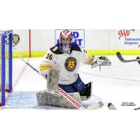 Norfolk Admirals goaltender Jeremy Brodeur