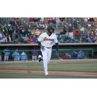 Charleston RiverDogs' Oneill Manzueta in action