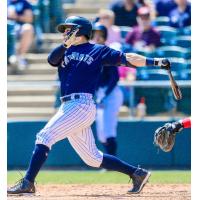 Somerset Patriots' Mickey Gasper at bat