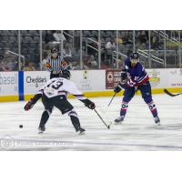 Evansville Thunderbolts forward Aaron Huffnagle (right)