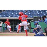 Clearwater Threshers infielder Erick Brito