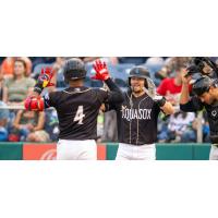 Robert Perez, Jr. of the Everett AquaSox receives a greeting at home plate