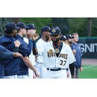 Charleston RiverDogs' Junior Caminero