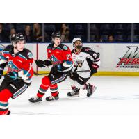 Vancouver Giants' Samuel Honzek in action