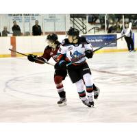 Kelowna Rockets battle Vancouver Giants