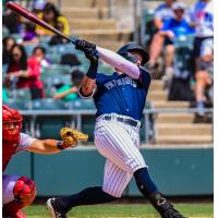 Somerset Patriots' Elijah Dunham in action