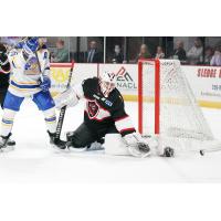 Goaltender Zane Steeves with the Huntsville Havoc