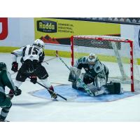 Vancouver Giants' Jaden Lipinski in action