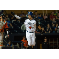 Durham Bulls Stranger Things jerseys