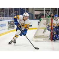 Saskatoon Blades defenceman Ryan Nolan