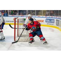 Springfield Thunderbirds forward Will Bitten