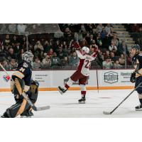 Peterborough Petes forward Tucker Robertson