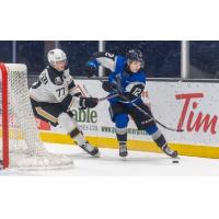 Saint John Sea Dogs' Brady Burns versus Charlottetown Islanders' Anton Topilnyckyj