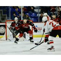 Vancouver Giants' Tom Cadieux versus Prince George Cougars' Riley Heidt