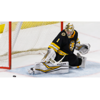 Goaltender Tyler Wall with the Providence Bruins