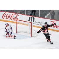 Belleville Senators right wing Egor Sokolov reacts after scoring against the Laval Rocket