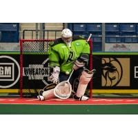 Saskatchewan Rush goaltender Laine Hruska