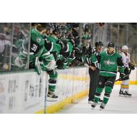 Texas Stars celebrate along the bench