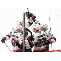 Belleville Senators celebrate win