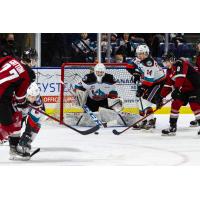 Kelowna Rockets goaltender Talyn Boyko