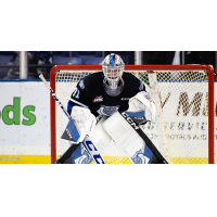 Victoria Royals goaltender Tyler Palmer