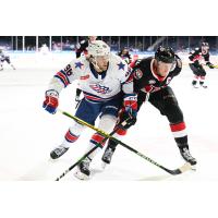 Rochester Americans' Anders Bjork in action