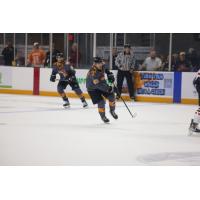 Knoxville Ice Bears' BRADY FLEURENT in action