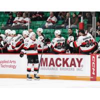 Belleville Senators' Lassi Thomson greets the team