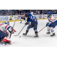 Saint John Sea Dogs' Pavel Simek in action