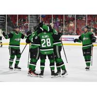 Texas Stars' Matej Blumel celebrates win