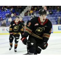 Vancouver Giants' Samuel Honzek on game day