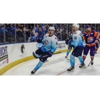 Jacksonville Icemen forward Alex Whalen reacts after a goal