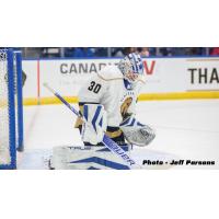 Newfoundland Growlers goaltender Dryden McKay