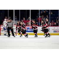 Belleville Senators vs. the Laval Rocket