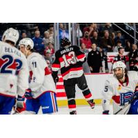 Belleville Senators right wing Egor Sokolov reacts after a goal against the Laval Rocket