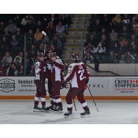 Peterborough Petes' James Guo celebrates win with teammates