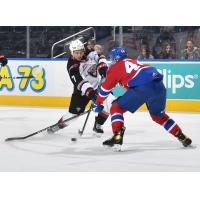 Vancouver Giants' Ty Halaburda versus Edmonton Oil Kings' Vojtech Port