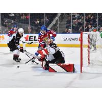 Vancouver Giants' Tom Cadieux battles Edmonton Oil Kings' Rhett Melnyk