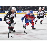 Vancouver Giants' Ethan Semeniuk and Edmonton Oil Kings' Gavin Hodnett in action