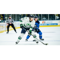 Defenseman Cole MacDonald with the Florida Everblades