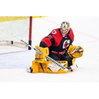 Cincinnati Cyclones' Sean Bonar in action