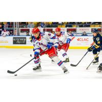 Kitchener Rangers' Antonino Pugliese in action