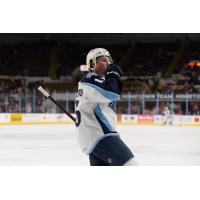 Milwaukee Admirals' Phil Tomasino on the ice