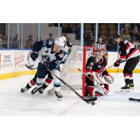 Belleville Senators' Mads Sogaard and Milwaukee Admirals' Juuso Parssinen