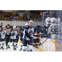 Milwaukee Admirals' Mark Jankowski congratulates teammates