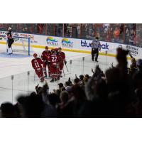 Rapid City Rush on the ice