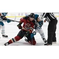 Tucson Roadrunners' Travis Barron Versus San Jose Barracuda's Jasper Weatherby