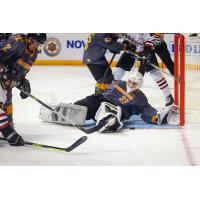 Knoxville Ice Bears' KRISTIAN STEAD in action