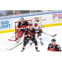 Belleville Senators' Kevin Mandolese and Max Guenette and Rockford IceHogs' Mike Hardman on game day