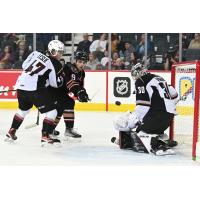 Vancouver Giants goaltender Jesper Vikman eyes a shot by the Calgary Hitmen